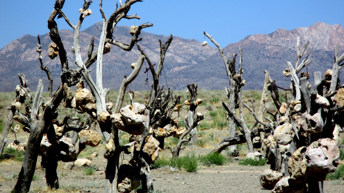 Zdjęcia: 45 km od Sirjan i 40km od Shiraz, Sirjan, "Kamienny Ogród", IRAN Zdjęcia: 45 km od Sirjan i 40km od Shiraz, Sirjan, "Kamienny Ogród", IRAN