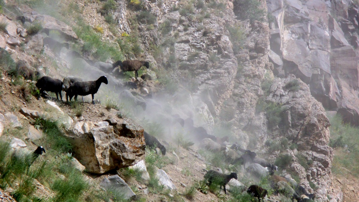 Zdjęcia: Trasa na Damavand, Okolice wsi Polour, W dzikim pędzie, IRAN Zdjęcia: Trasa na Damavand, Okolice wsi Polour, W dzikim pędzie, IRAN