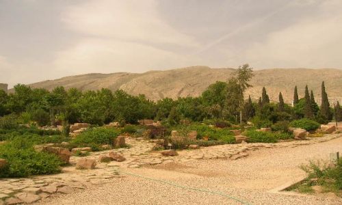 Zdjcie IRAN / brak / Shiraz / iraskie krajobrazy (1)