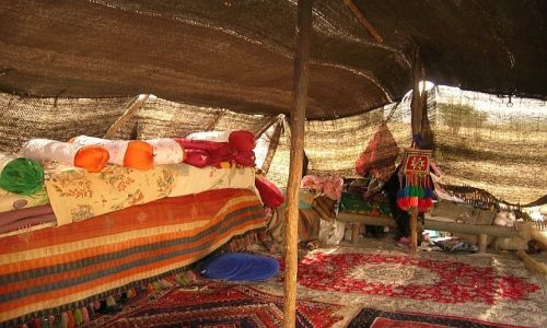Zdjęcie IRAN / brak / Prowincja Pars / obóz Nomadów
