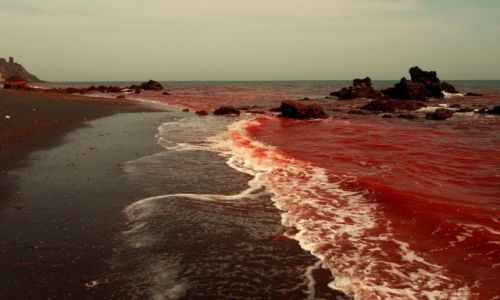 Zdjecie IRAN / Zatoka Perska / Wyspa Hormoz / Krwawy ocean