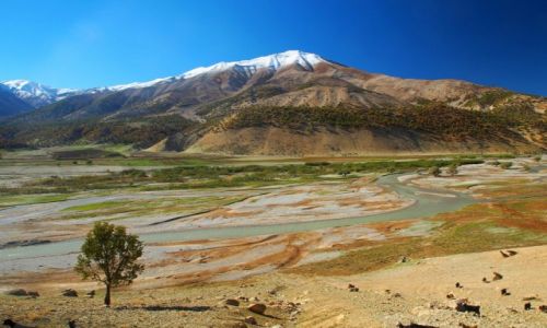 Zdjcie IRAN / --- / --- / Zagros