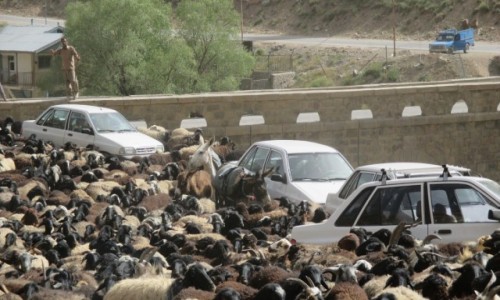 Zdjcie IRAN / Okolice wsi Polour / Most na rzece Zajadane / Traffic jam