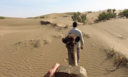 IRAN / - / Farahzad - centrum kraju / Jazda na wielbłądzie