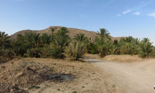 Zdjcie IRAN / - / Pustynia Dasht-e Kavir / Garmeh - oaza