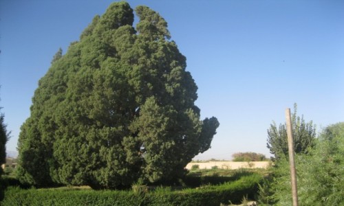 Zdj�cie IRAN / Iran / Iran / Iran