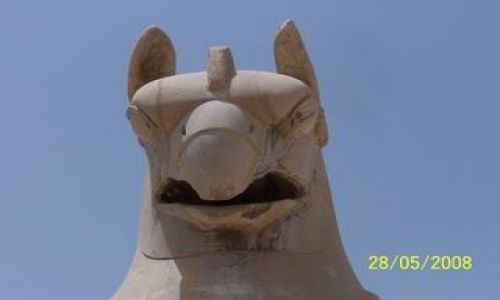 Zdjęcie IRAN / SHIRAZ-IRAN / PERSEPOLIS / PRZYJEMNIACZEK