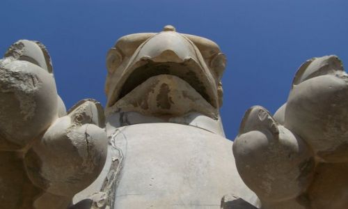 Zdjęcie IRAN / płudniowo-centralny Iran / Persepolis / Strażnik Persepolis