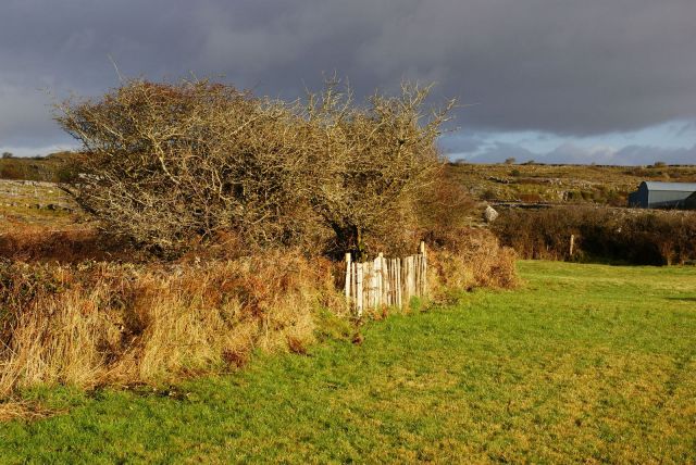 Zdjęcia: Irlandia, The Burren, Taka irlandia, IRLANDIA Zdjęcia: Irlandia, The Burren, Taka irlandia, IRLANDIA
