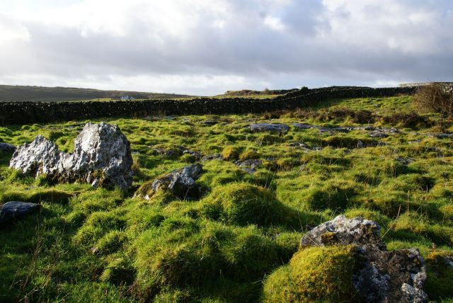 Zdjęcia: Irlandia, The Burren, Irlandia, IRLANDIA Zdjęcia: Irlandia, The Burren, Irlandia, IRLANDIA