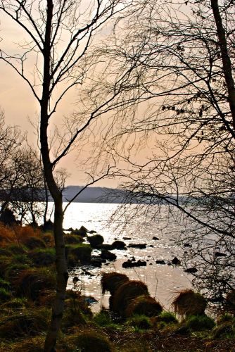 Zdjęcia: Portumna , Galway, Lough Derg , IRLANDIA Zdjęcia: Portumna , Galway, Lough Derg , IRLANDIA