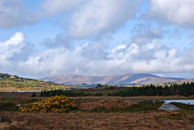 Zdjęcia: Park narodowy Connemara, co Galway, Connemara cd :), IRLANDIA Zdjęcia: Park narodowy Connemara, co Galway, Connemara cd :), IRLANDIA