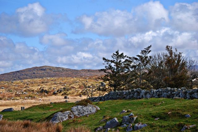 Zdjęcia: Park Narodowy Connemara , co Galway, Kamienne murki , IRLANDIA Zdjęcia: Park Narodowy Connemara , co Galway, Kamienne murki , IRLANDIA