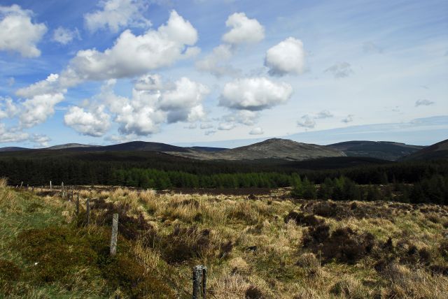 Zdjęcia: Glendalough, Glendalough, w drodze , IRLANDIA Zdjęcia: Glendalough, Glendalough, w drodze , IRLANDIA