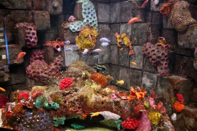 Zdjęcia: Dingle, hrabstwo Kerry, Oceanarium 2, IRLANDIA Zdjęcia: Dingle, hrabstwo Kerry, Oceanarium 2, IRLANDIA