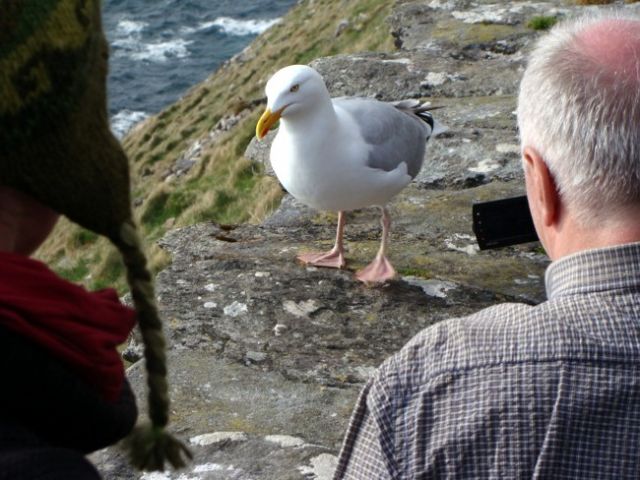 Zdjęcia: półwysep Dingle, , Filmuj, filmuj jestem śliczna, IRLANDIA Zdjęcia: półwysep Dingle, , Filmuj, filmuj jestem śliczna, IRLANDIA