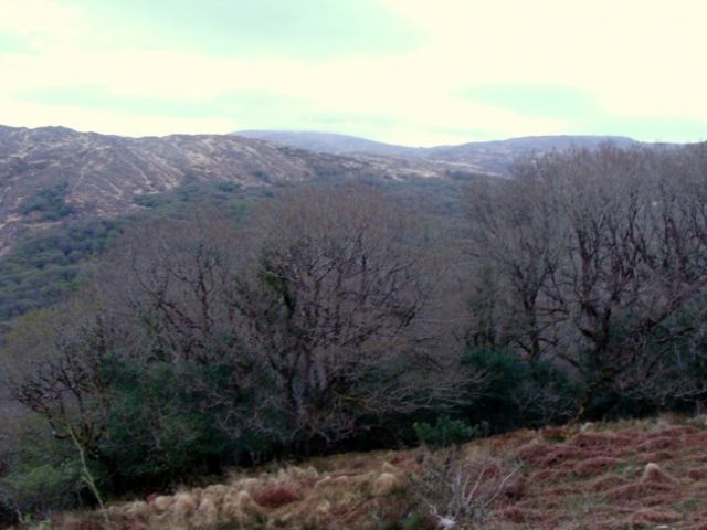 Zdjęcia: Irlandia, , Pierścień Kerry, IRLANDIA Zdjęcia: Irlandia, , Pierścień Kerry, IRLANDIA