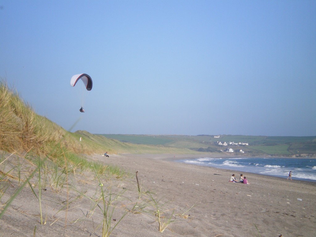 Zdjęcia: Castlefreke-Warren, County West Cork, Just hanging out, IRLANDIA Zdjęcia: Castlefreke-Warren, County West Cork, Just hanging out, IRLANDIA