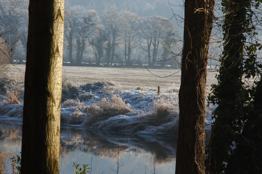 Zdjęcia: Marlfield., Szron., IRLANDIA Zdjęcia: Marlfield., Szron., IRLANDIA