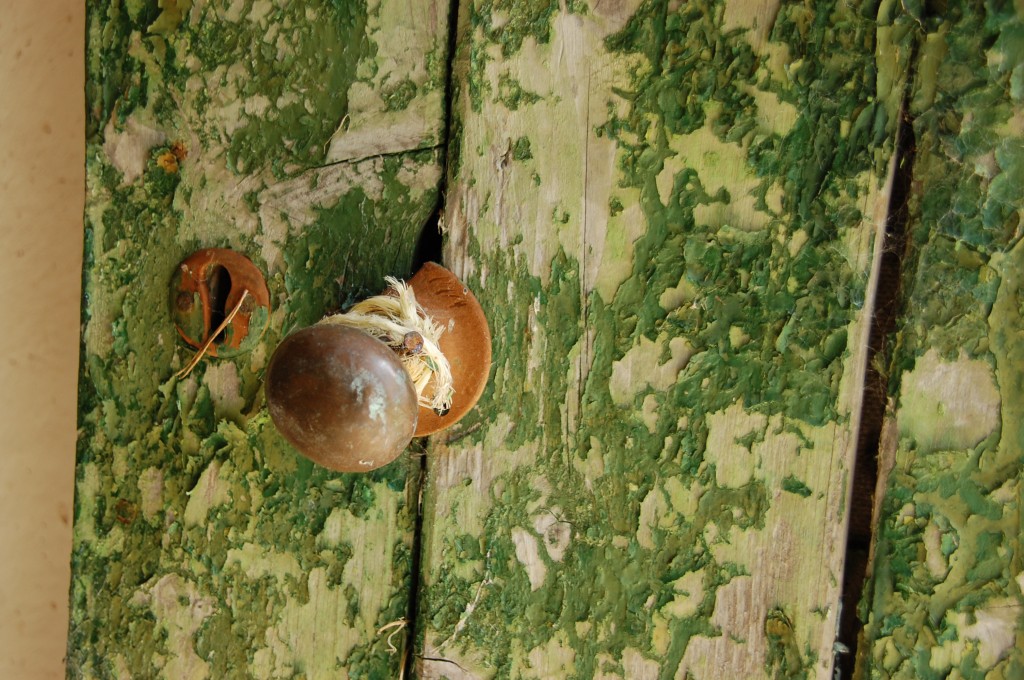 Zdjęcia: Cahir(Glengarra wood), Drzwi., IRLANDIA Zdjęcia: Cahir(Glengarra wood), Drzwi., IRLANDIA