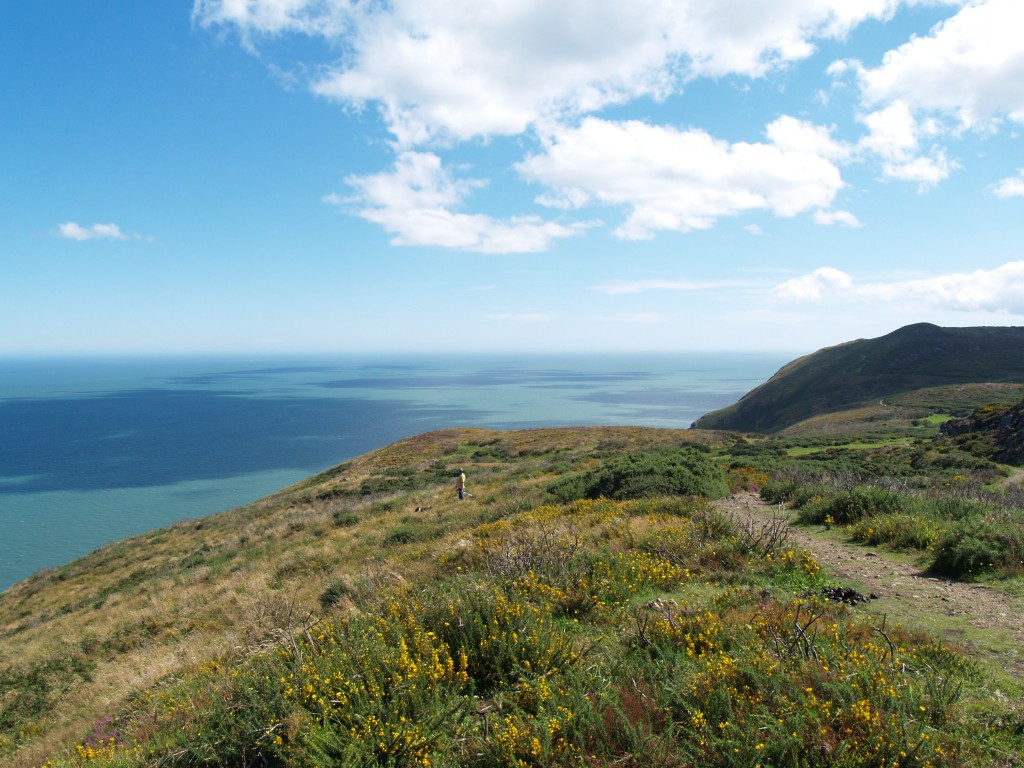 Zdjęcia: Bray, Wicklow, Ogrom natury, IRLANDIA Zdjęcia: Bray, Wicklow, Ogrom natury, IRLANDIA