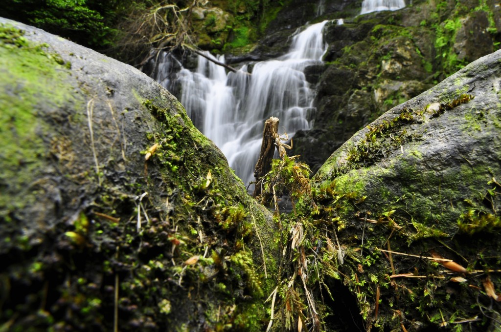 Zdjęcia: Torc Waterfall, Ring Of Kerry, Torc Waterfall, IRLANDIA Zdjęcia: Torc Waterfall, Ring Of Kerry, Torc Waterfall, IRLANDIA