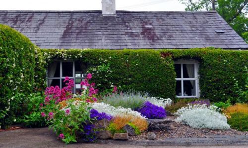 Zdjecie IRLANDIA / - / Straffan / Marzenie:)