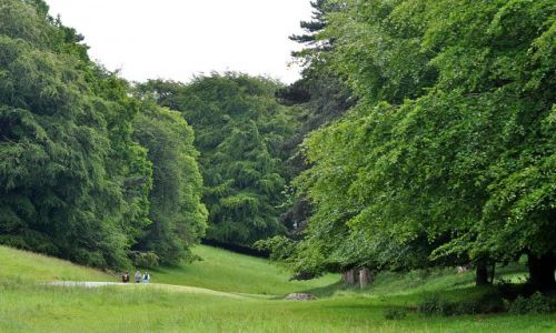 Zdjęcie IRLANDIA / - / Dublin Phoenix Park / ...