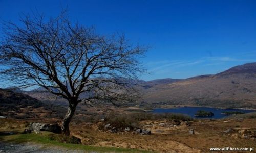 Zdjecie IRLANDIA / Kerry / Dublin / Killarney National Park, Kerry