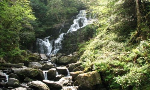 Zdjęcie IRLANDIA / brak / Park Narodowy Killarney / Park Narodowy Killarney
