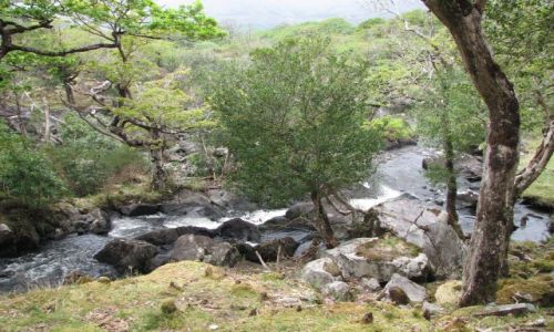 Zdjecie IRLANDIA / -Kenmare / -Kenmare / Kenmare