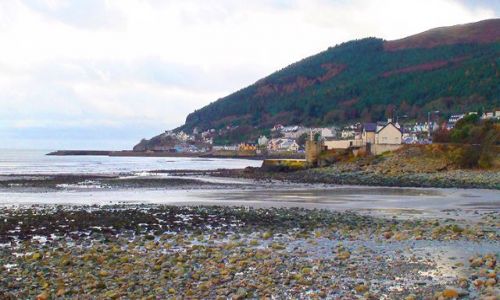 Zdjęcie IRLANDIA / Wschodnie wybrzeże / Okolice Newcastle / Króciutko na wyspę św. Patryka