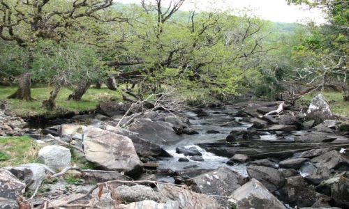 Zdjęcie IRLANDIA / Południowa Irlandia / Kenmare / Szlakiem władcy pierścieni