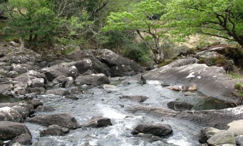 Zdjęcie IRLANDIA / Południowa Irlandia / Kenmare / Szlakiem władcy pierścieni