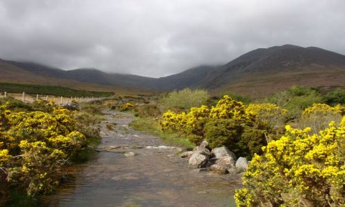 Zdjecie IRLANDIA / KERRY / MACGILLYCUDDY'S REEKS / DROGA NA CARRAUNTOOHIL