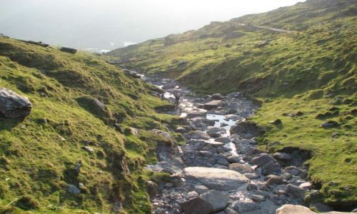 Zdjęcie IRLANDIA / południe / Irlandia / Taka Irlandia