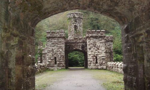 Zdj�cie IRLANDIA / - / BALLYSAGGARTMORE TAWERS / DWIE WIE�E