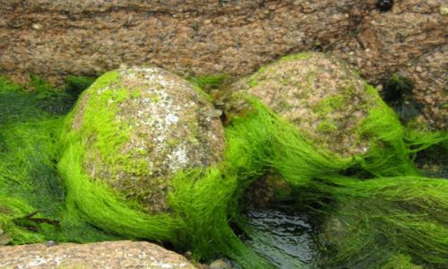 Zdjęcie IRLANDIA / Donegal / Dungloe / Siła natury