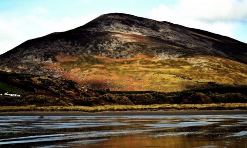 Zdjcie IRLANDIA / co.kerry / inch beach / konkurs