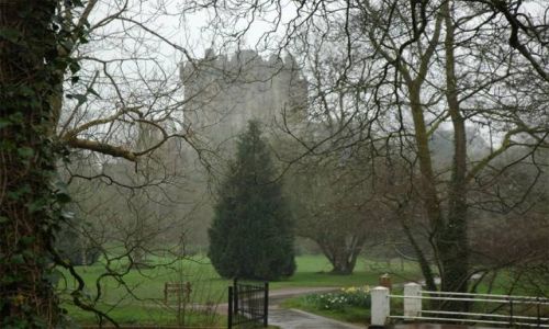 Zdjęcie IRLANDIA / brak / Blarney / Blarney Castle