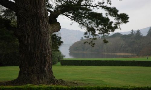 Zdjecie IRLANDIA / brak / Killarney / okolice Killarney