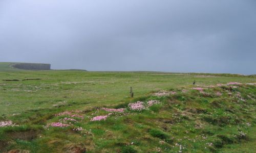 Zdjecie IRLANDIA / Clifffs of Moher / Okolice Doelin / Cliffs of Moher