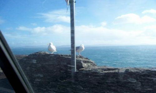 Zdjecie IRLANDIA / brak / Ring of Kerry / klify