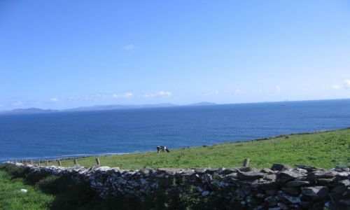 Zdjęcie IRLANDIA / Płw.Dingle / Ceann Tra / Widok na ocean z Ceann Tra