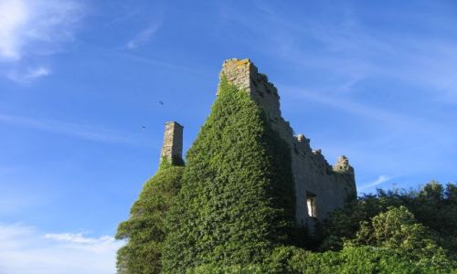 Zdjęcie IRLANDIA / Hrabstwo Limerick / Dromineer / Ruiny XIIIw.Dromineer Castle