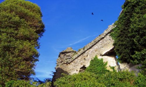 Zdjęcie IRLANDIA / Hrabstwo Limerick / Dromineer / Ruiny XIIIw.Dromineer Castle