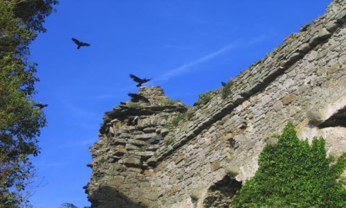 Zdjęcie IRLANDIA / Hrabstwo Limerick / Dromineer / Ruiny XIIIw.Dromineer Castle