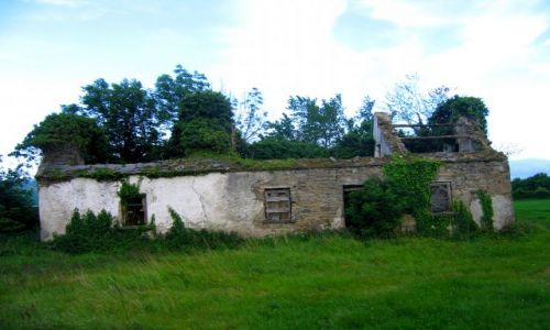 Zdjęcie IRLANDIA / Hrabstwo Limerick / Newtown / Ruiny domu w Newtown