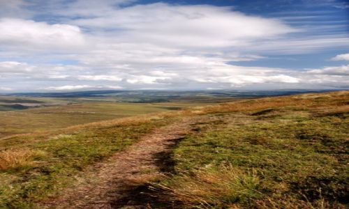 Zdjęcie IRLANDIA / WICKLOW / WICKLOW / Running Up That Hill