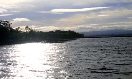 Zdjęcie IRLANDIA / Hrabstwo Limerick / Lough Derg / Nad zalewem Lough Derg,okolice Ballina